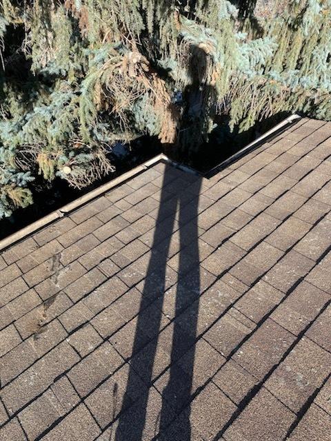 Residential Eavestrough Cleaning Calgary